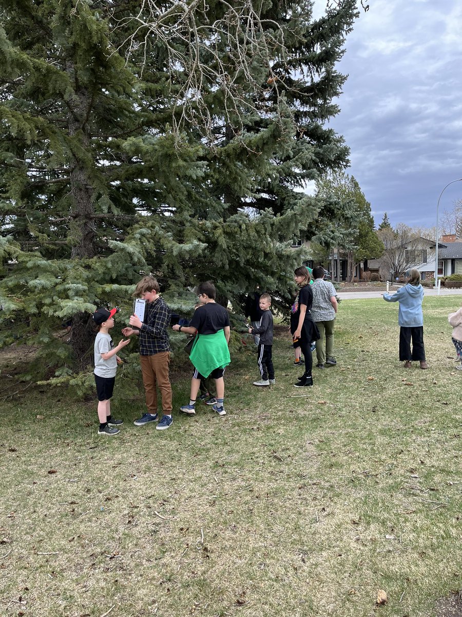 SuperbSixes's tweet photo. Lovely nature walk with our @FunFirst1 buddies! Ask me what living and non living things we found! 🐜🐞🕷🌳🍃🪨☁️ #GordFord https://t.co/IyC7MPx6zv