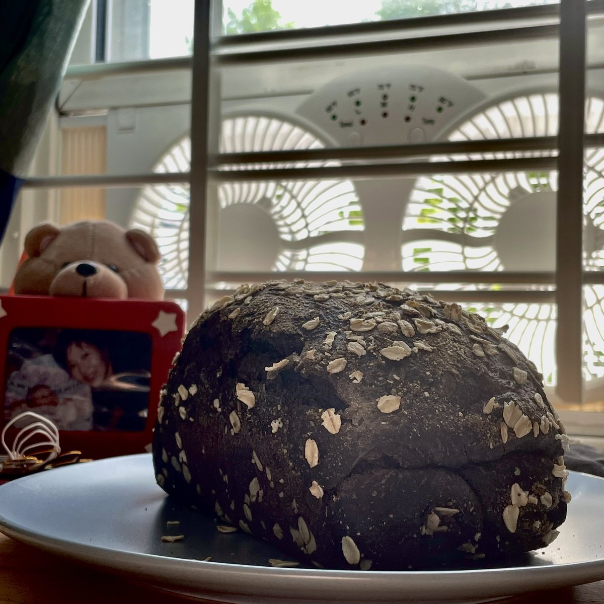 isomaltol's tweet photo. A dark loaf: rye, more rye, and molasses

First tries are rarely perfect but the results are still tasty. https://t.co/U5C4P6TEwW