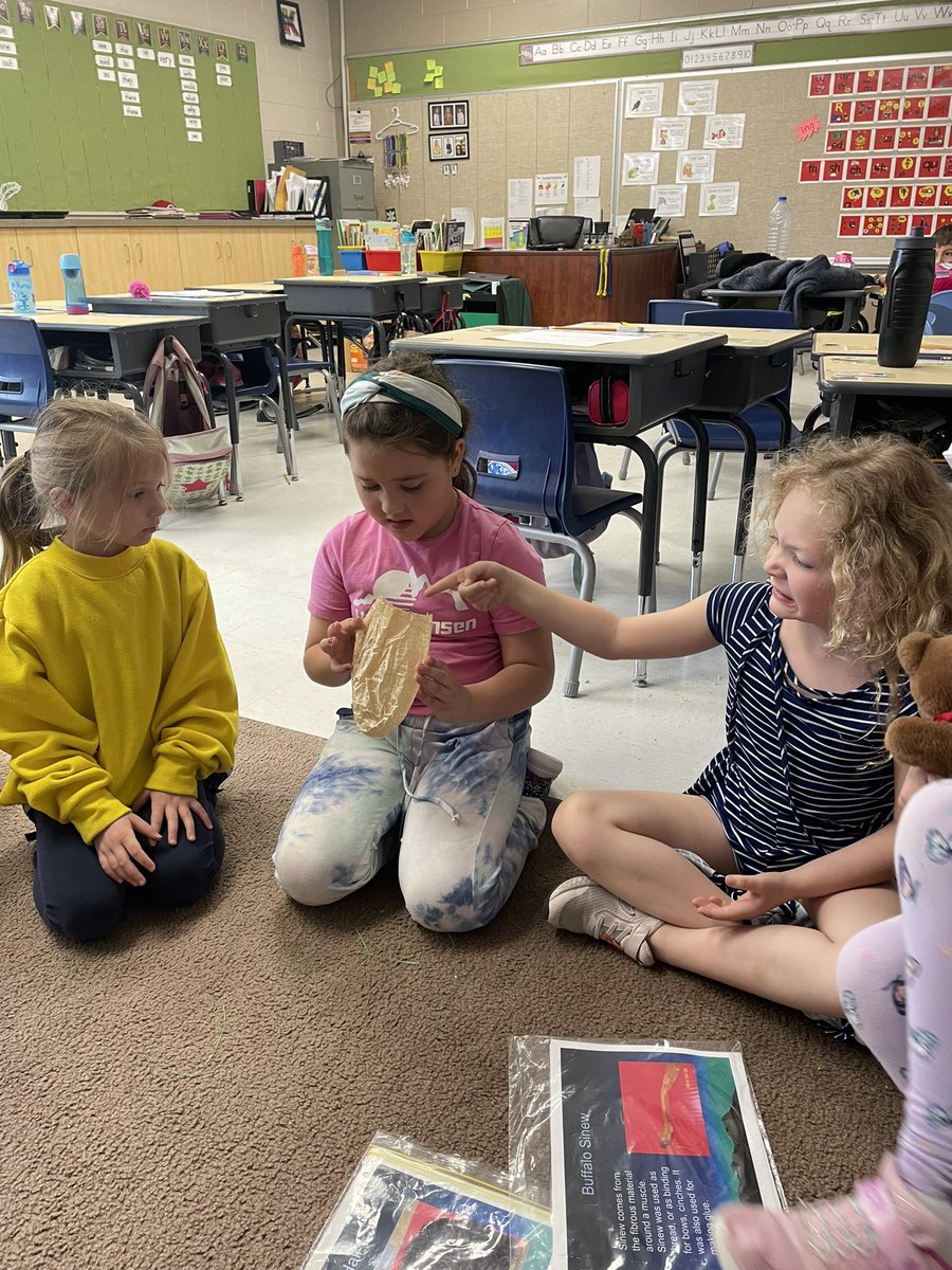 MrKlynesClass's tweet photo. Thanks to @VivianGauvin our favourite grade one class got to get a hands on experience looking at parts of the Buffalo to help further the understanding! @HolyTrinitySD https://t.co/ja2PJF5I0X