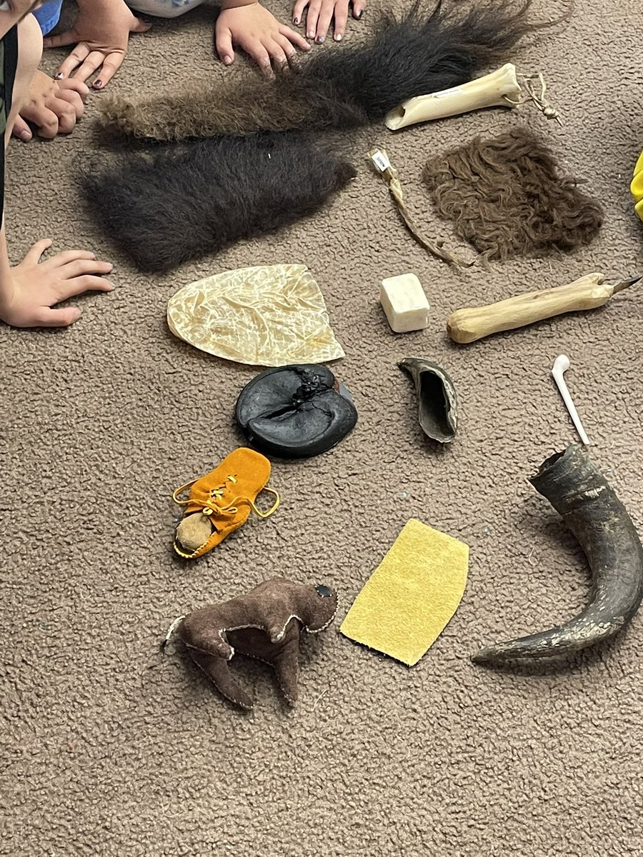 MrKlynesClass's tweet photo. Thanks to @VivianGauvin our favourite grade one class got to get a hands on experience looking at parts of the Buffalo to help further the understanding! @HolyTrinitySD https://t.co/ja2PJF5I0X