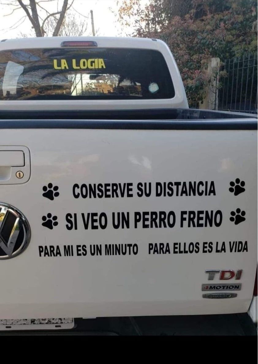 ImProAnimal's tweet photo. Cuántos así??? 👏👏👏🐾♥️ https://t.co/gEb7vgoV4I