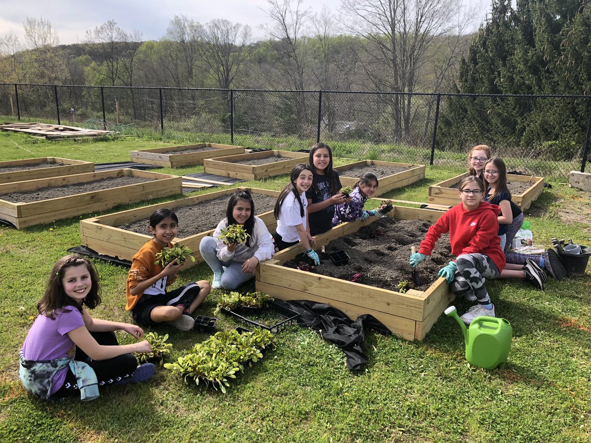 The Go Green club is kicking off gardening season by planting beets! 👩‍🌾💚