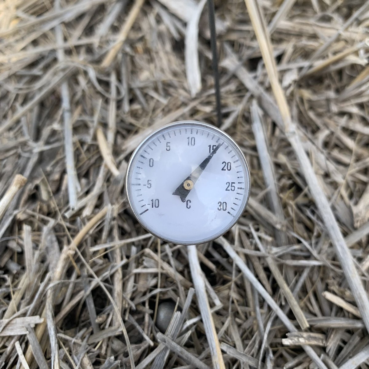 _MeganDavidson4's tweet photo. The soil is warming up quick in this lovely weather!☀️ Weeds are popping up, time for pre-emerg scouting! #100DaysofHustle #preburn @_StaySharpe https://t.co/OqQBWYMCqo
