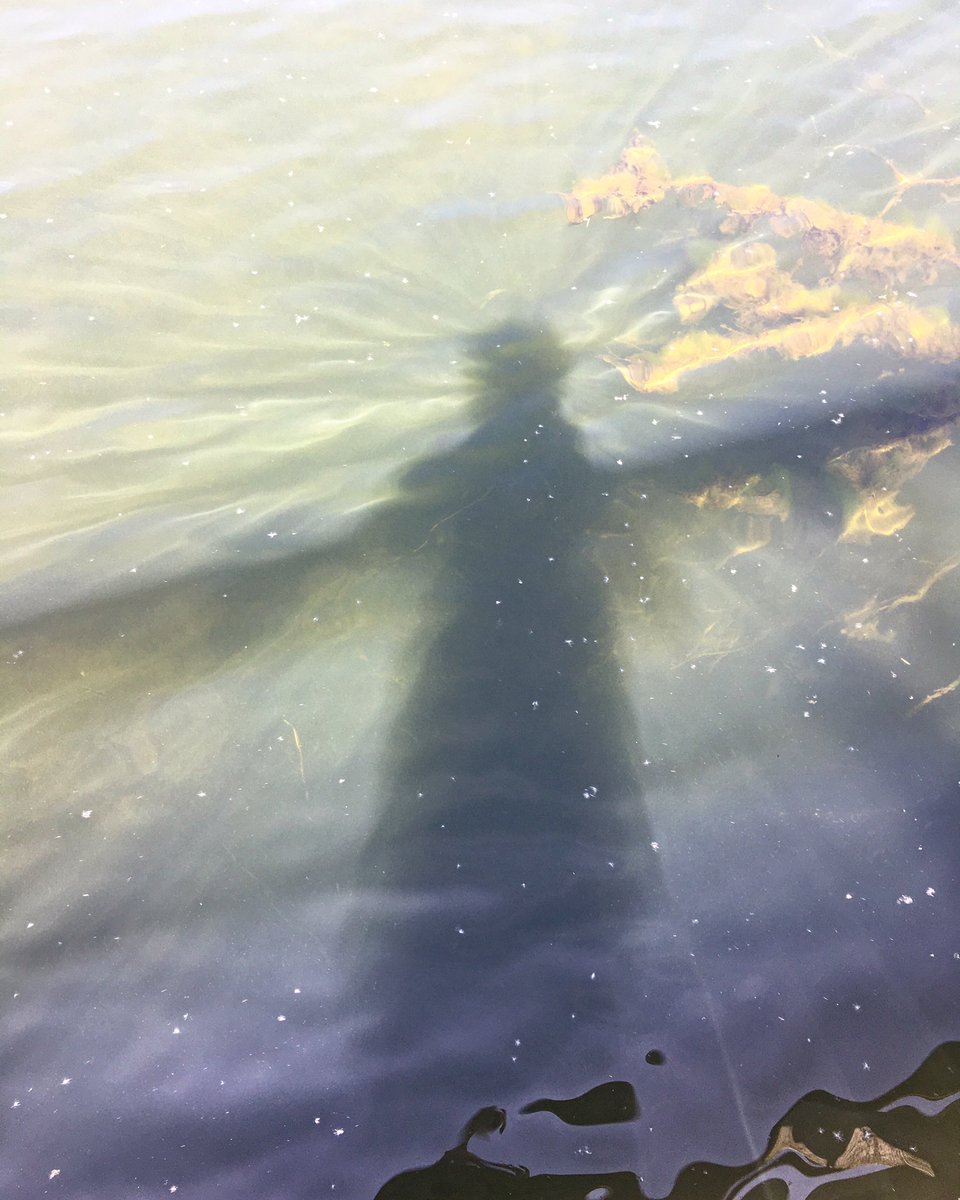 ChrisCu10106064's tweet photo. I Tenshi and the Boom of the Bittern #LangfordLowfields #RSPBLangford https://t.co/q0cgOBz055