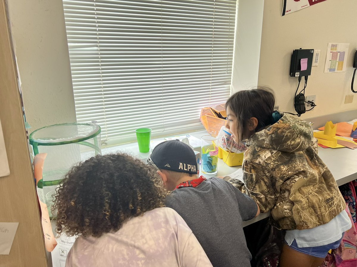 Maddie Karesh tweet media