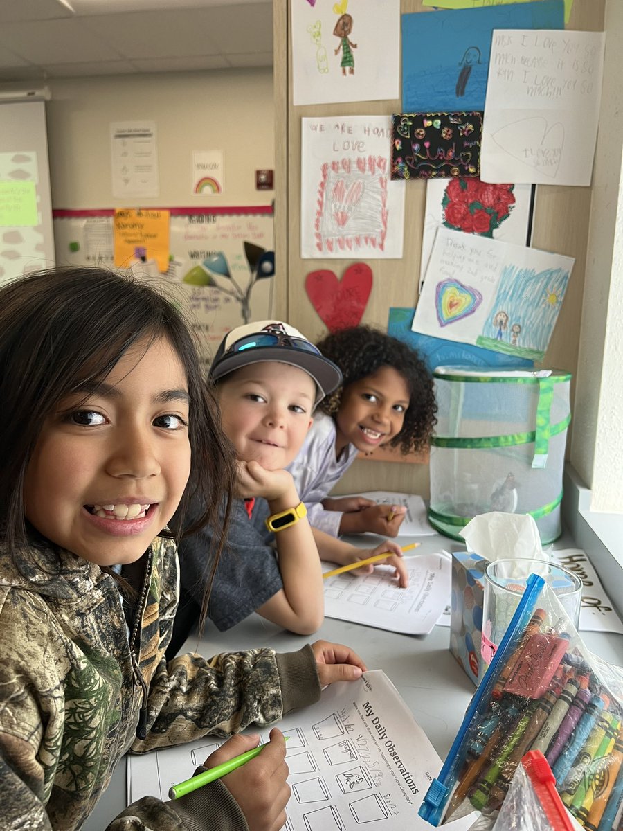 Maddie Karesh tweet media