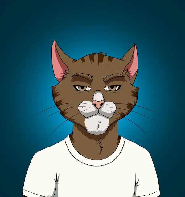 OGCatsNFT's tweet photo. The #OGCats REVEAL has started! Which of these revealed ones so far are your favorites? 😻

#NFT #NFTs https://t.co/RQeioLt60k