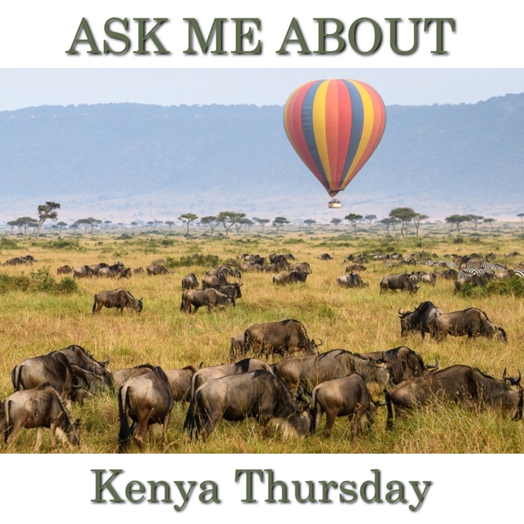 A hot-air balloon safari over the plains of the legendary Masai Mara, followed by an alfresco bush breakfast is a Kenya must-do experience. Ask me how. 832-447-1323