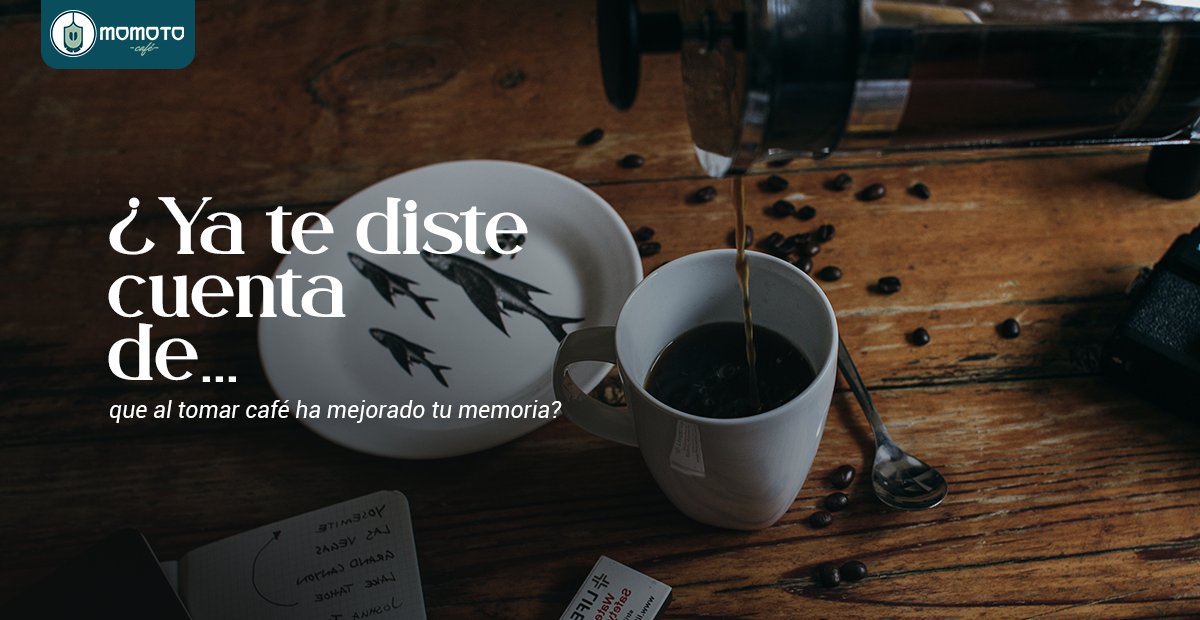 Momoto Café tweet media