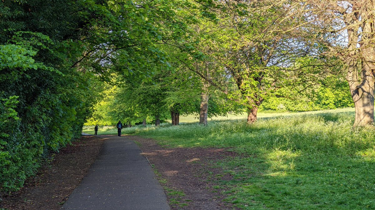 Early morning commute today, in Farnham. We need more cycle tracks.