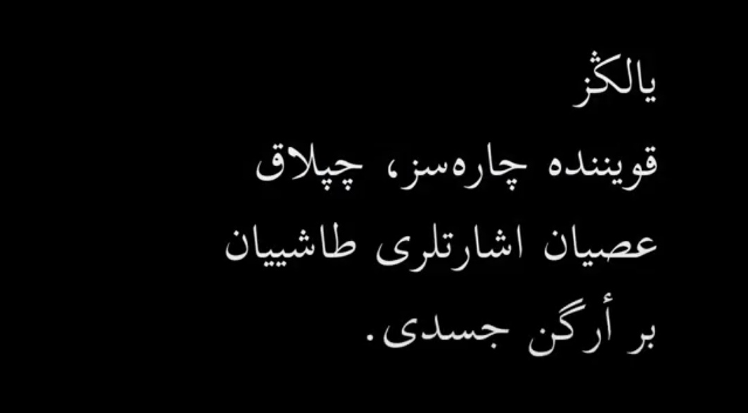 fed🇵🇸 tweet media