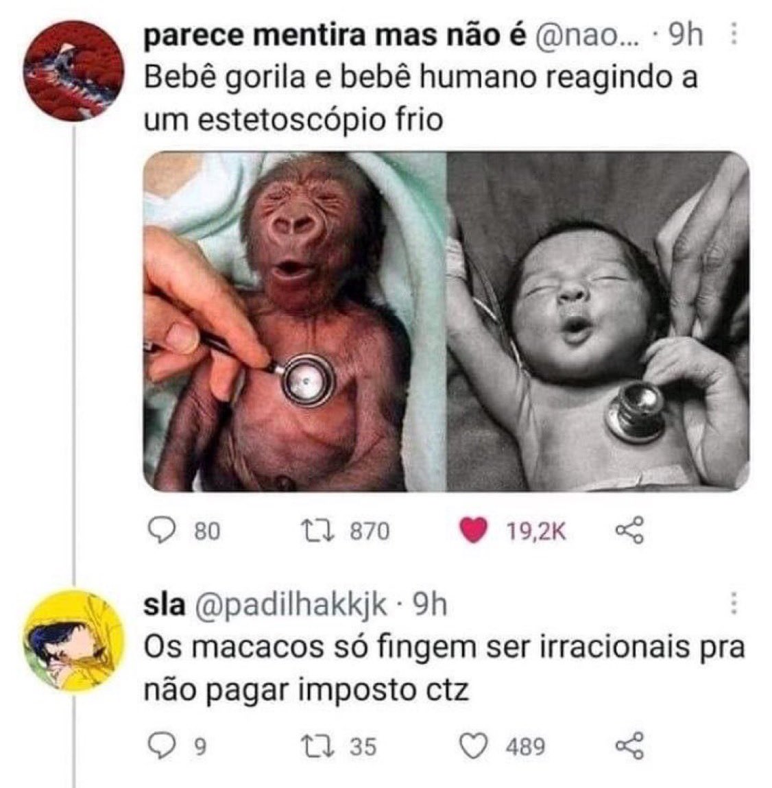 rafaelportugal's tweet photo. Hahahahaha https://t.co/oGZyzWCmcb