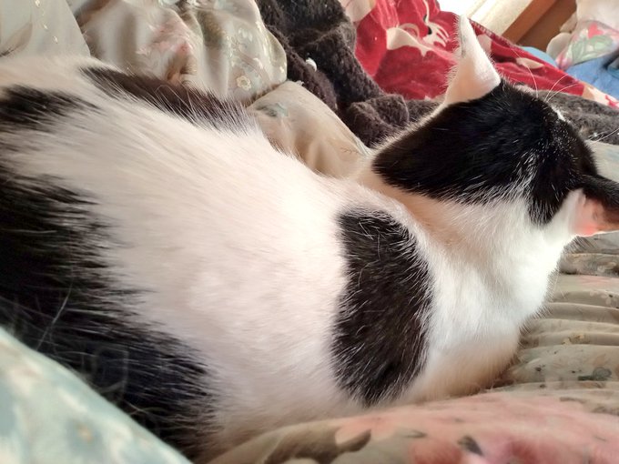 おはようございます 