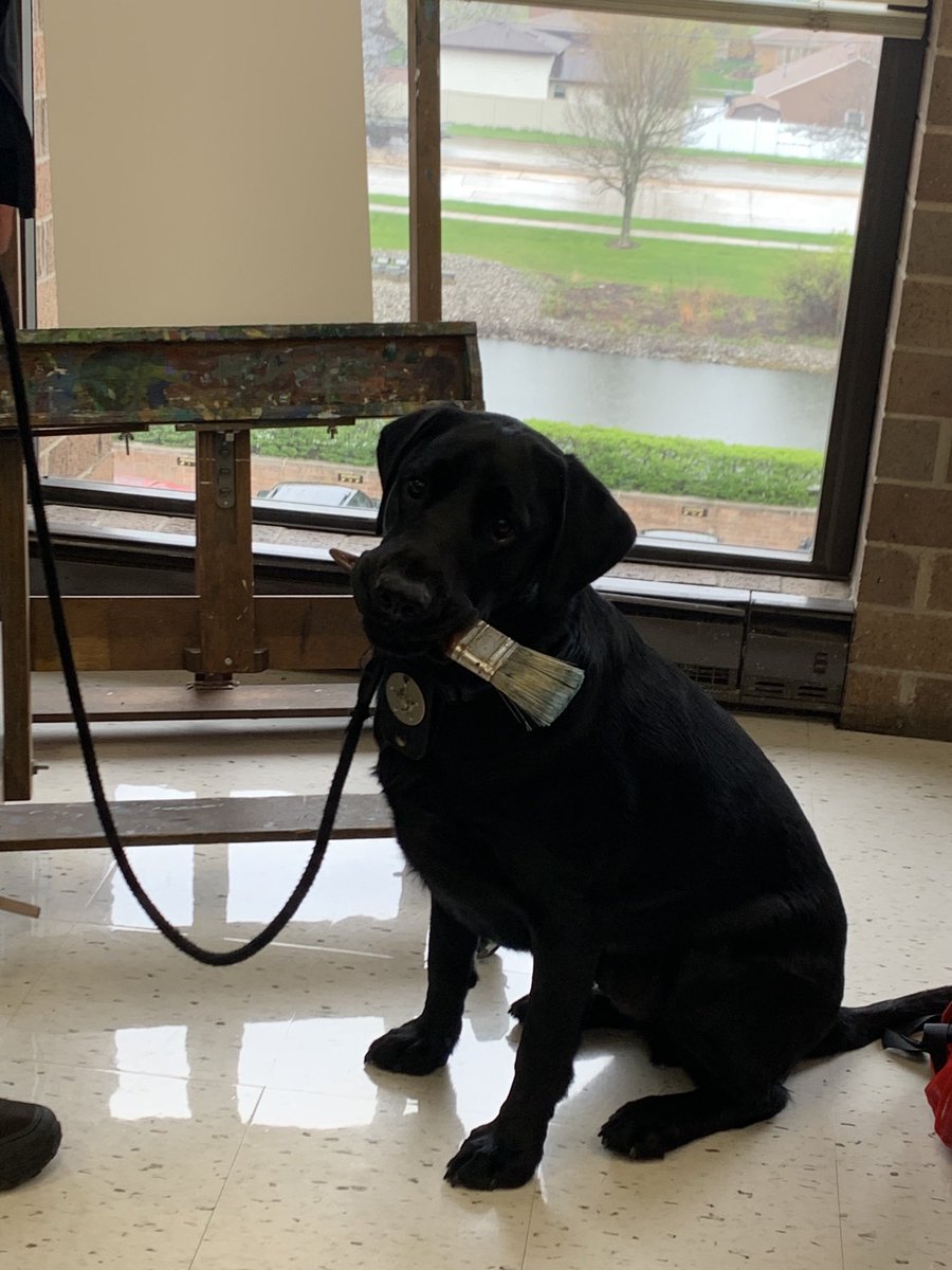 Thank you so much to everyone involved in bringing the therapy dogs today! It was much needed and appreciated! Leo was ready to paint! ❤️⁦@AndrewHS_d230⁩ ⁦@OrlandParkpd⁩ ⁦@CHSD230⁩