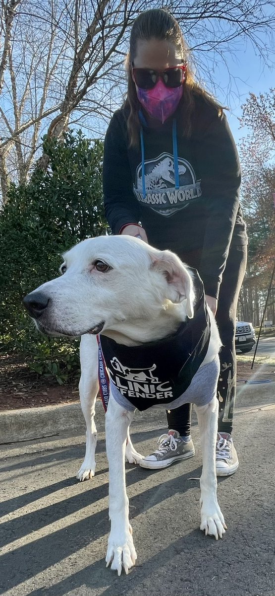 UptownSquirrel7's tweet photo. @LeahNTorres Opie comes to the clinic with me. 💙 #ProChoicePup https://t.co/DaoXOWeeUg
