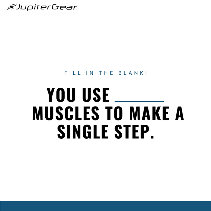 Jupitergear1's tweet photo. 💪 You use 200 muscles to take a single step.
Walking might not seem like the most intense form of exercise, but it’s still a whole-body workout. 🚶♂️
#JupiterGear #FitnessPlan #Exercise #GymMotivation #ExerciseOutfit #Walking https://t.co/jEeJLBUzMS