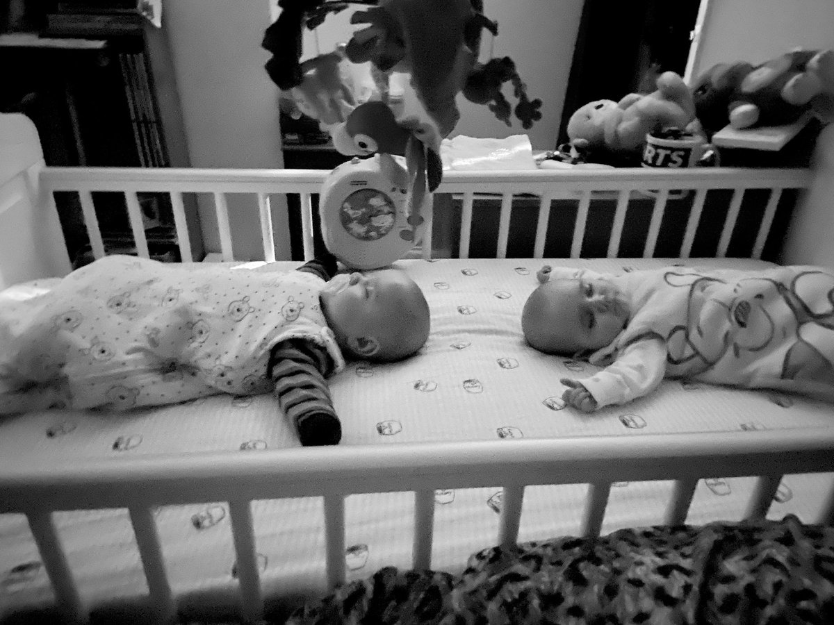 xo_Bronagh's tweet photo. Haven't uploaded a new twins photo to Twitter recently; so here's Freyja &amp; Niklaus sleeping after their first election 😊 willing to bet their dreaming of the PBP candidates gaining seats at Stormont 🤞🙌 https://t.co/JdBrHZa4OL