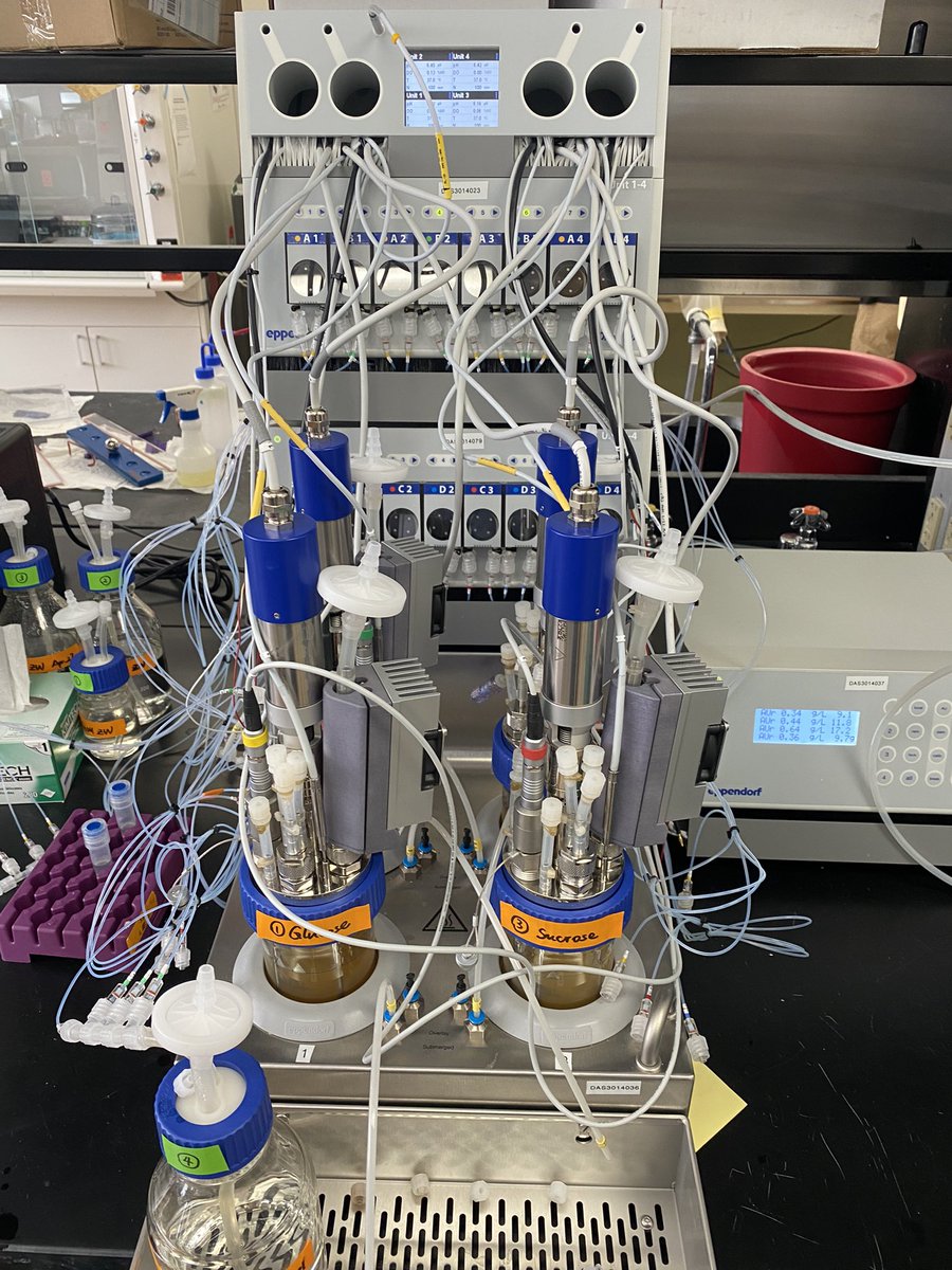 JP van Pijkeren tweet media