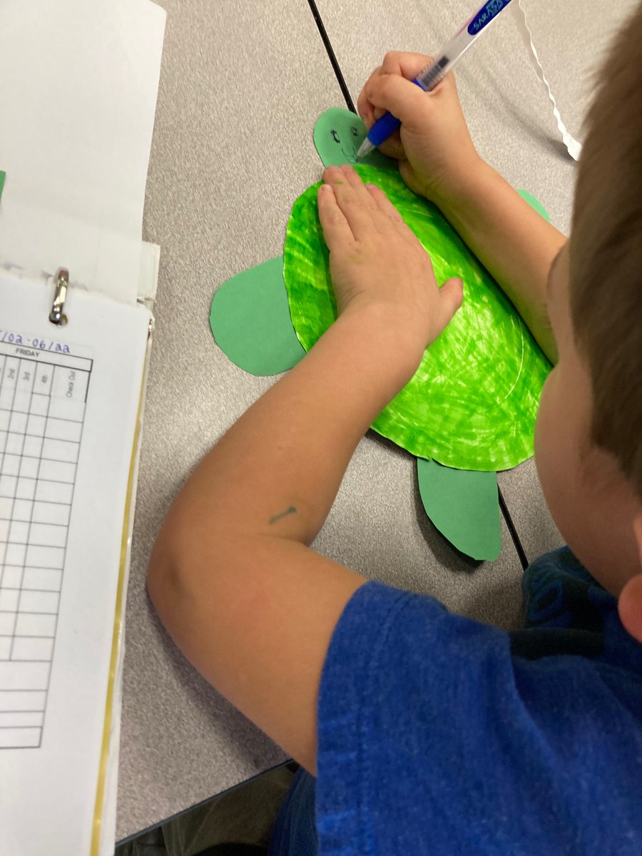 WellsPasar's tweet photo. This week we learned about turtles!! https://t.co/pTrQIc1D7I