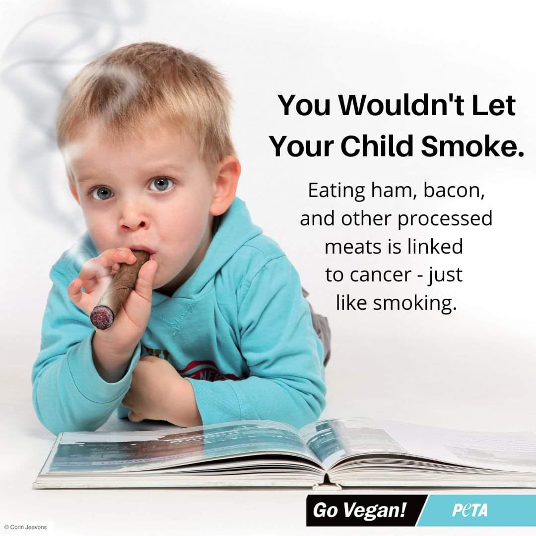 AngelaBanovic's tweet photo. @CancerCouncilNSW urging people to “ditch the ham sandwich” as part of their Healthy Lunch Box initiative. In 2015, the WHO classified processed meats as a group 1 carcinogen, same group as smoking &amp; asbestos. You wouldn't let your child smoke, so let's ditch other carcinogens. https://t.co/TTkG3RiCGz