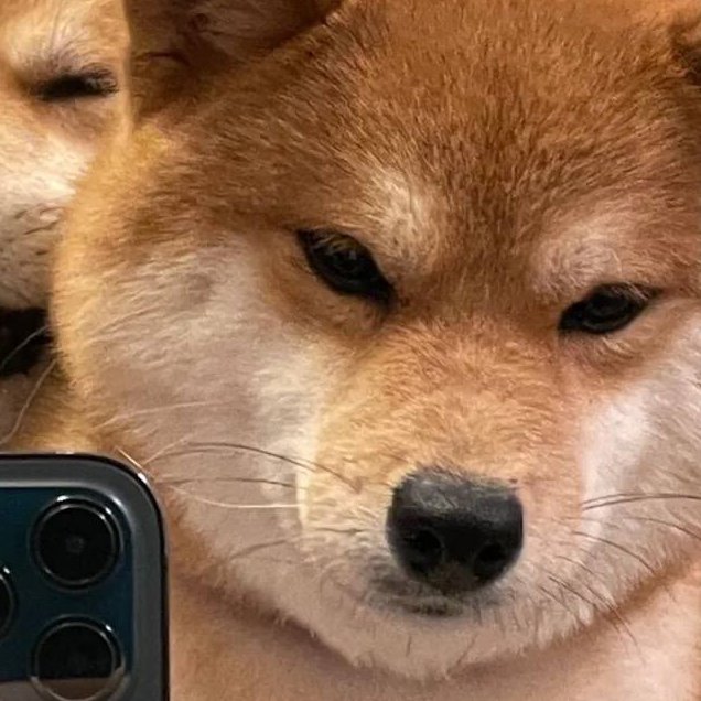 财富需要你把握住每次机会～🌷