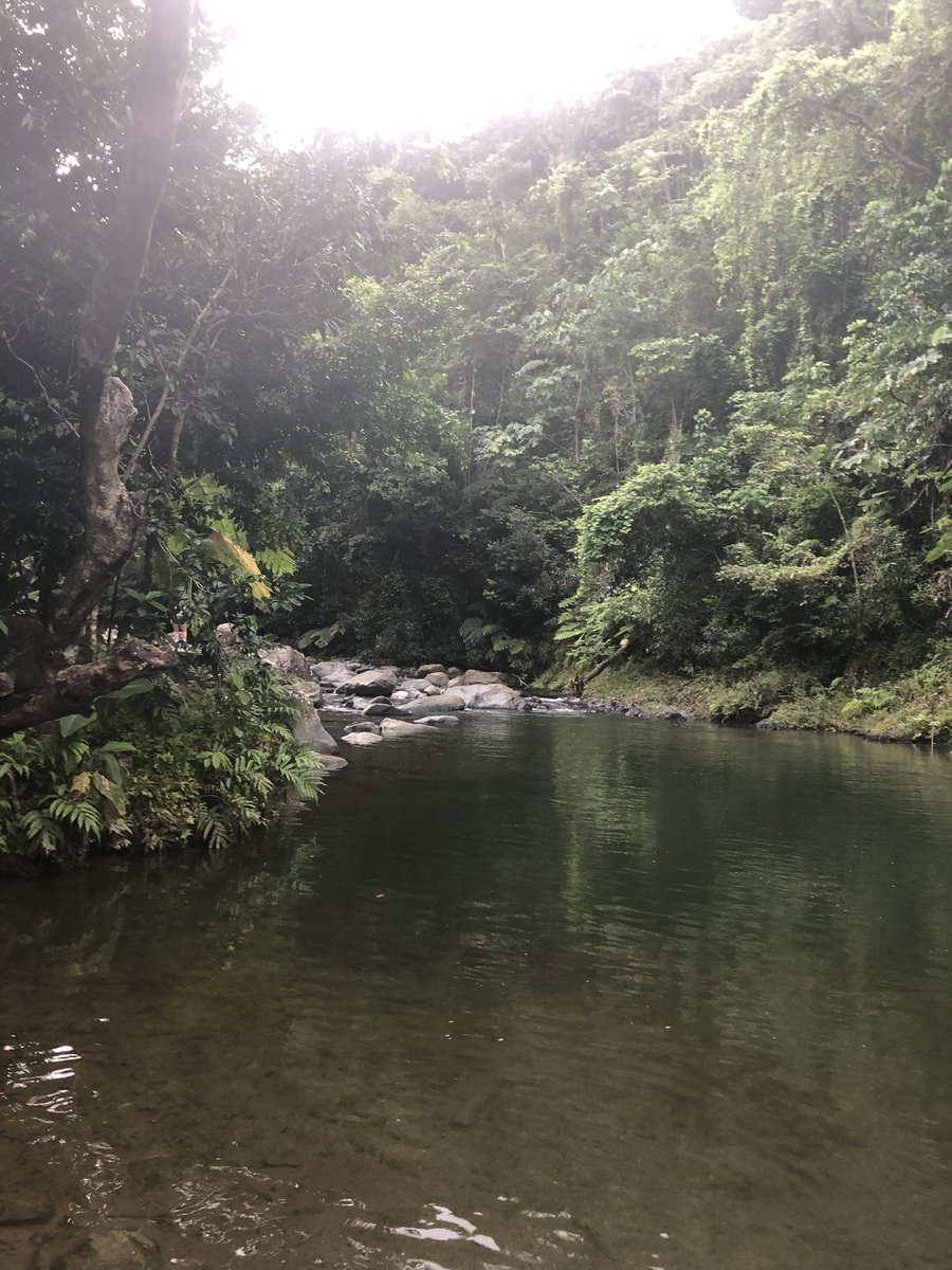 QuilesTaina's tweet photo. Attending @SRCDtweets #constructingtheother was spiritually healing. Ive never felt so loved,seen, or accepted in an academic space.
Also loved being on the island of my ancestors! https://t.co/3aBUbhXCw8