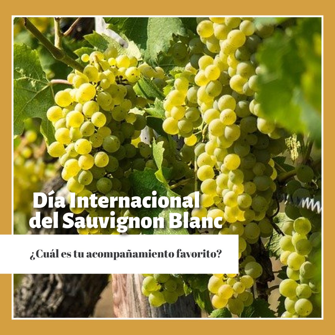 USArating_es's tweet photo. 🥂Fresco, un toque ácido, de aroma intenso, el #sauvignonblancday merece ser celebrado. Mira nuestras sugerencias de #maridaje y prueba los mejores #sauvignonblanc de la mano de @EntreTapias @BodegasPandora @RiccitelliWines @conchaytoro y @CasasdelBosque https://t.co/1mfgwGFnTa