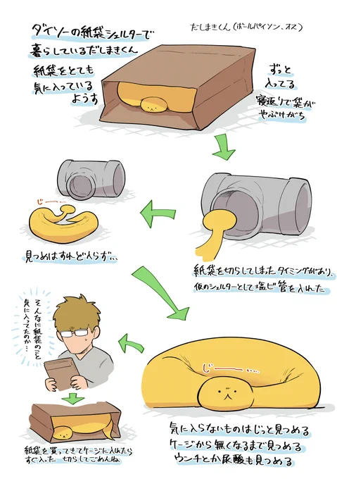 紙袋とだしまきくん 