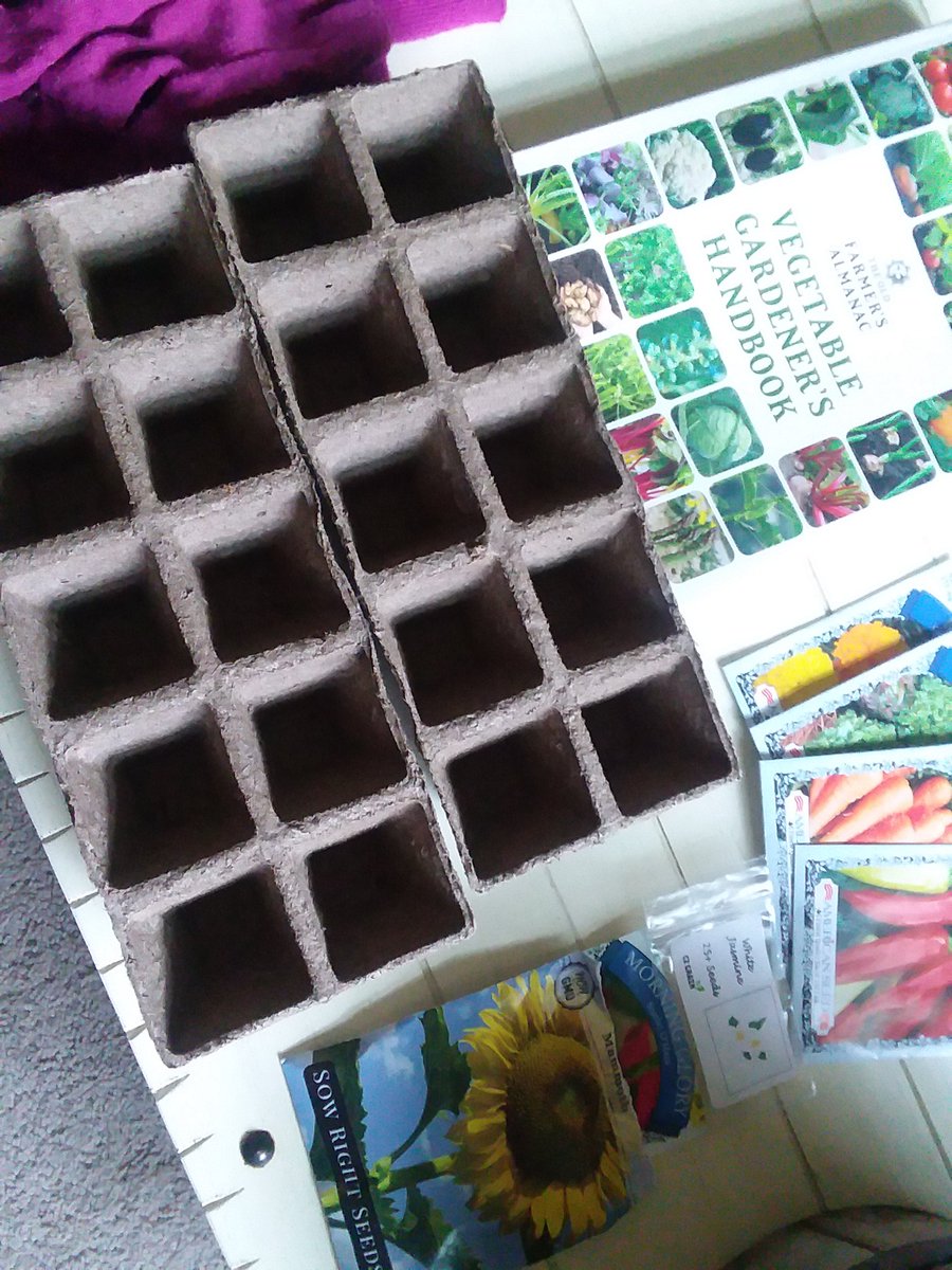 315garden's tweet photo. #seeds #organic♺ #veggies #flowers #fruits #seedlings🌱 almost ready to transplant #zone5a #centralnewyork📍 https://t.co/Uf1zBGQaO8