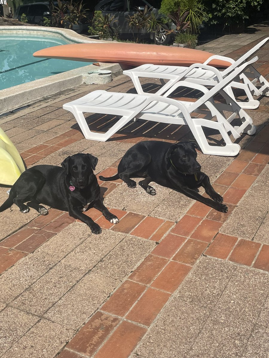 John Peterson tweet media