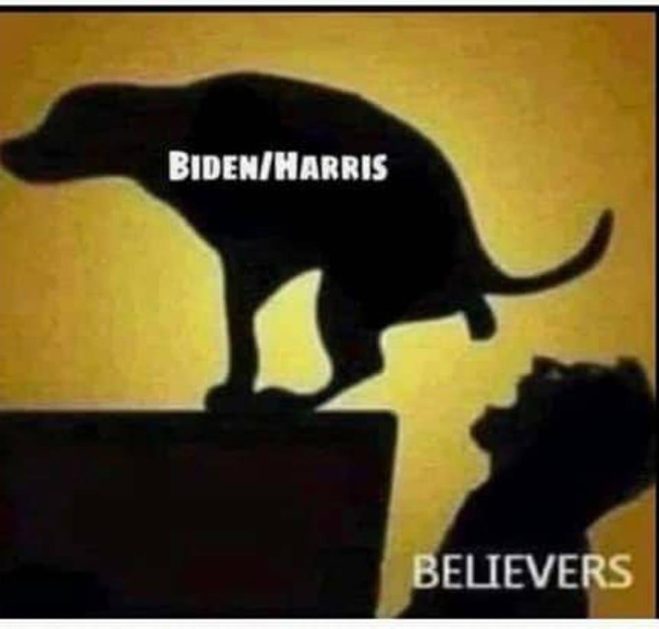 MrWhiteMAGA's tweet photo. https://t.co/uK7ETWbIxy