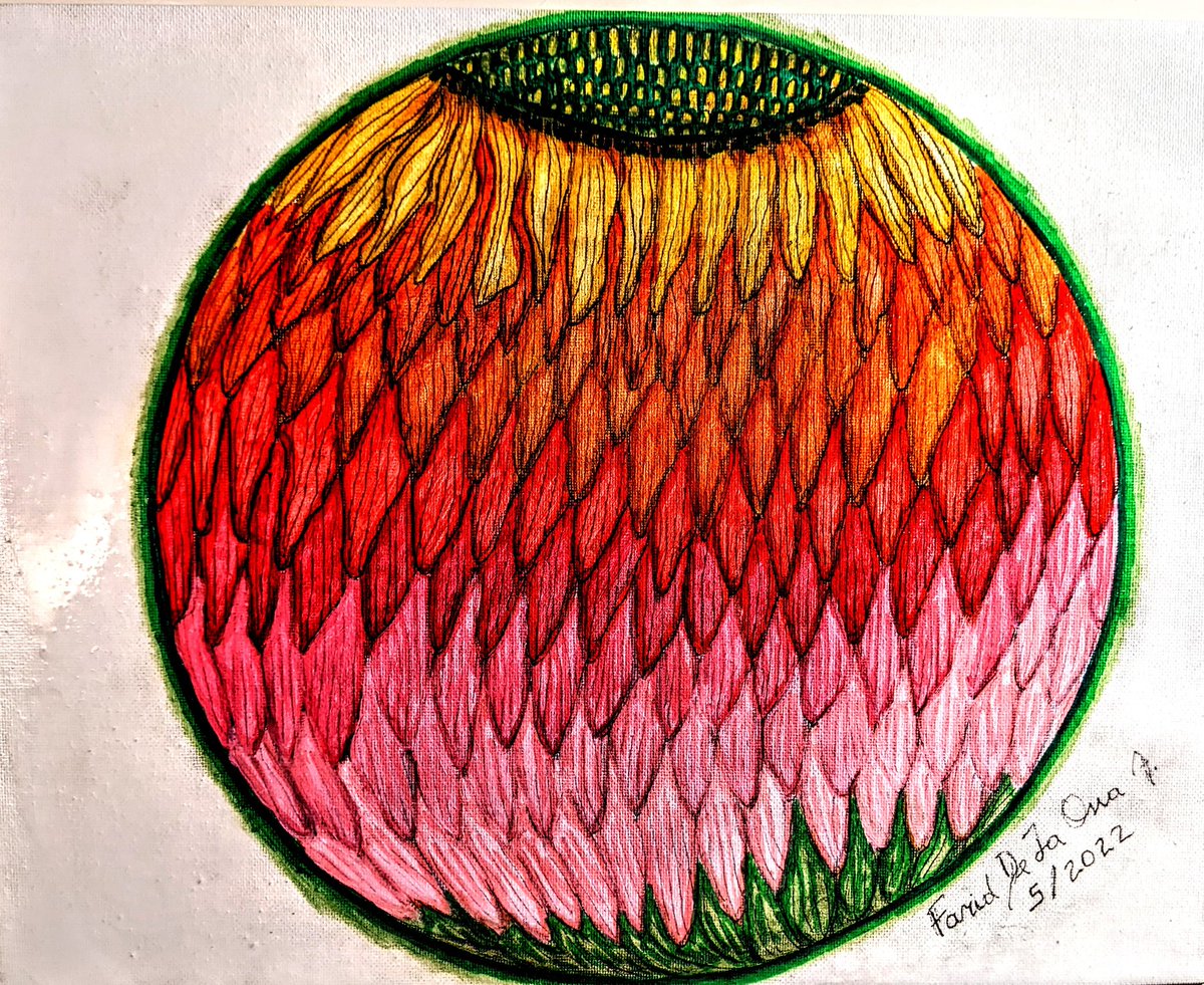 farid_ossa's tweet photo. "Flower Sphere" (5/2022) : 14" x 11" mandala art piece on canvas with back ink, water paint and acrylic paint. #flowersphere #flowerart #flower #mandalaart #latinartist #latinxart #art #latinart https://t.co/hZeefwyg9J