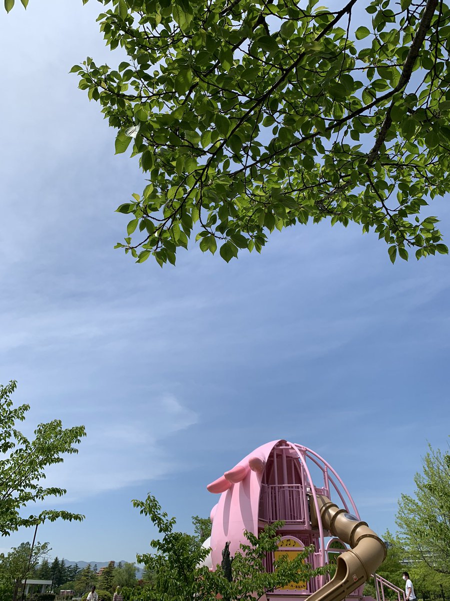RuruchukeG's tweet photo. 公園日和☀️ https://t.co/OC0e2D7CMt