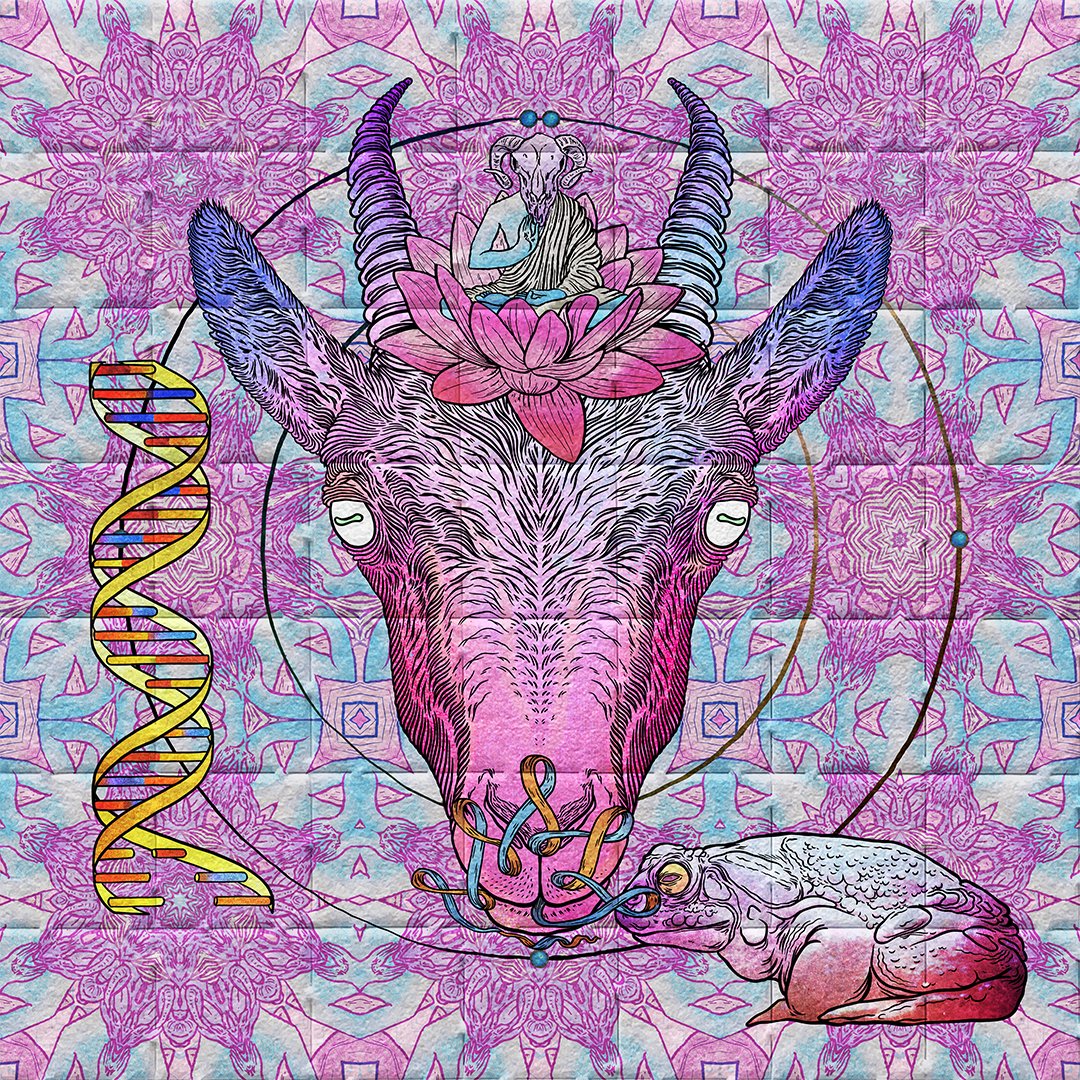 brokenawake's tweet photo. Sweeping floors at @S_G_O_A_T on Magic Eden...check out this beauty! And she ain't depleted. :-)

#Solana #SolanaNFTs #SpaceGoats https://t.co/sAghtvoke8