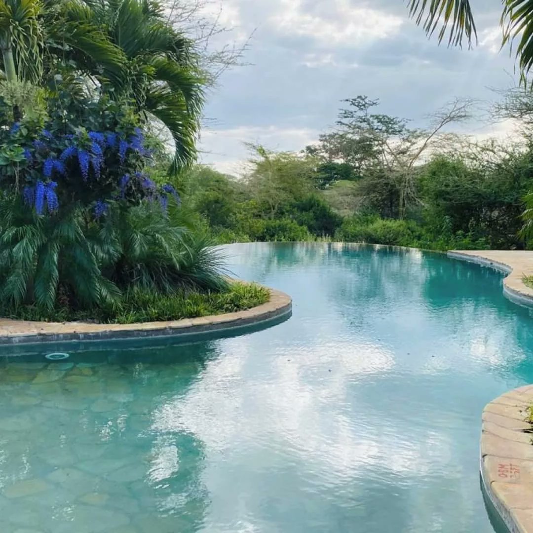 starlucktrv's tweet photo. Finch Hattons is a top luxury camp in Tsavo West National Park. The towering Mt. Kilimanjaro is clearly visible from the camp while the undulating Chyulu Hills complete the panoramic view.Wild animals can be easily spotted from the camp! https://t.co/FKwgMioEOM