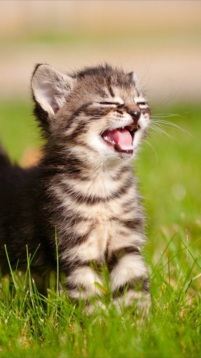 Caroline011x's tweet photo. It's Friday. Yes. 👍😉😽❤👋 https://t.co/DP5MQlWOG4