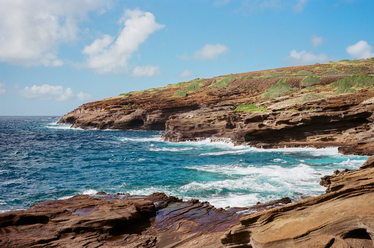 ChrisBakerF8's tweet photo. Oahu with my LeicaM2 #filmphotography #leicam2 #portra400 https://t.co/hP2u1PRnFx