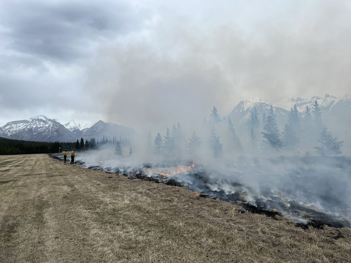 fireminded's tweet photo. Sometimes you shoot your shot by going for a small #burnwindow and the rain stays away just long enough to do some great work 🔥 #prescribedfire #blacklining #fireguard https://t.co/Ul8DumxptJ