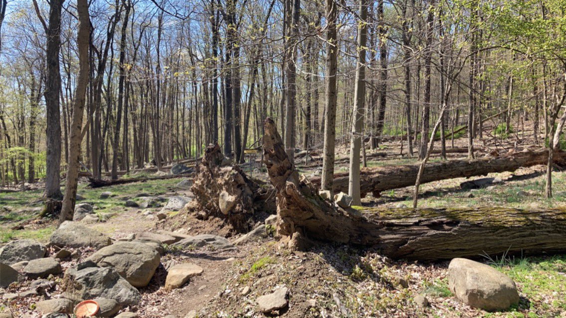 DiscTraveling's tweet photo. Played my 1st New Jersey course at Campgaw Mountain DGC in Mahwah. It’s a LONG tri tee 18 set in a thickly wooded forest. Extreme elevation changes create several signature-type holes; finale is a 1503’ downhill beast. #personalfav
Comp: Longview DGC - Ozawkie, KS
Fav: 6
No. 359 https://t.co/oEBCBYDk8o