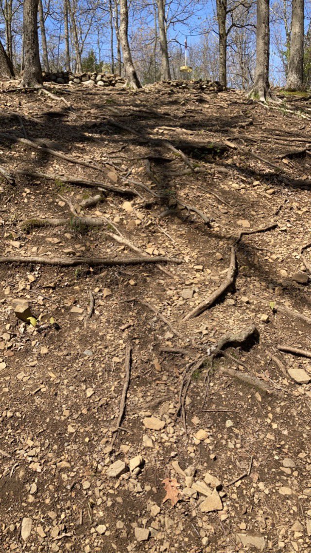 DiscTraveling's tweet photo. Played my 1st New Jersey course at Campgaw Mountain DGC in Mahwah. It’s a LONG tri tee 18 set in a thickly wooded forest. Extreme elevation changes create several signature-type holes; finale is a 1503’ downhill beast. #personalfav
Comp: Longview DGC - Ozawkie, KS
Fav: 6
No. 359 https://t.co/oEBCBYDk8o