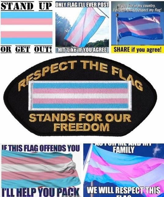 NoStrife's tweet photo. @ConSelfOwns 🏳️‍⚧️💜 #TransIsBeautiful https://t.co/kfKmVrBMms