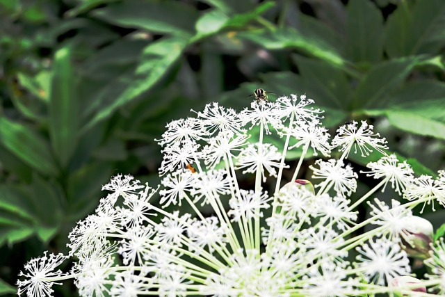 تويتر مشاهدة تغريدة Yanmar Marche في ٦ مايو ٢٠٢٢ على Twitter