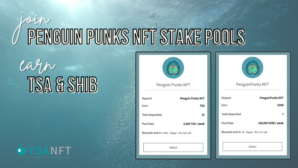 iCashLoyalty's tweet photo. Stake your #PenguinPunks #NFT🐧 to earn a shared pool rate of:
🚀up to 5K $TSA/week
🚀up to 100K $SHIB/week
🔥Stake early to earn more👉https://t.co/aN1KFsc8ok
🍵#TSANFT Discord: https://t.co/RSEclMIi1C
🍵 $TSA TG: https://t.co/iunXnZ9FZl
#StakeEarn #Stake #StakePool #DeFi https://t.co/vafSLadod6