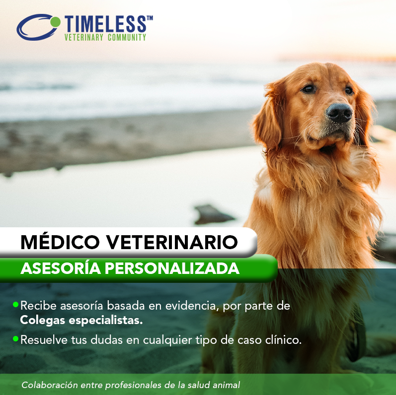 TimelessVetES's tweet photo. #MédicoVeterinario Sabemos que cada paciente es único y cada caso es distinto. Cuando tengas dudas sobre un caso clínico, podrás consultar con los especialistas de Timeless y confiar en que recibirás una asesoría personalizada.

Regístrate en: https://t.co/JsUndpSkXU https://t.co/8odwci2F8D