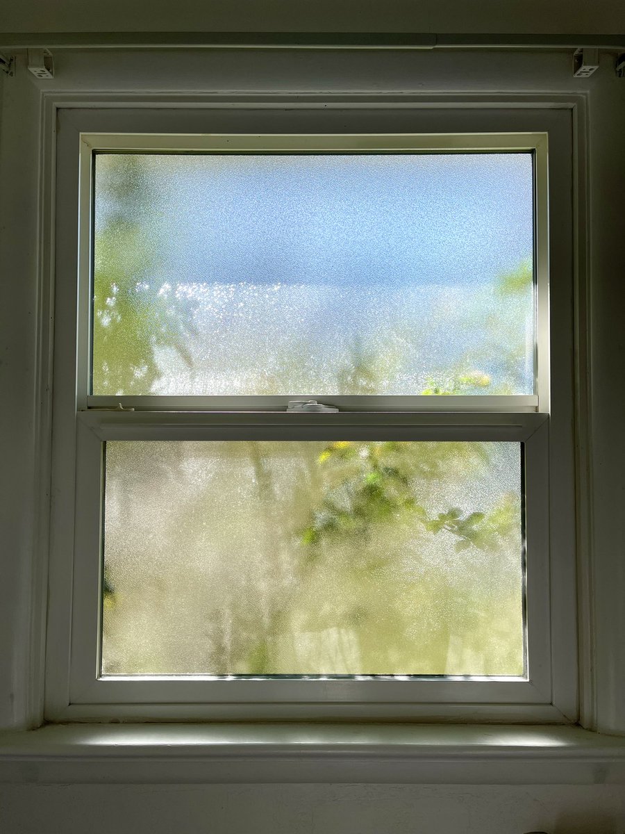 shellbyrayy's tweet photo. This window in my bathroom is my favorite thing ever. She’s so versatile 📸 https://t.co/LMa4DAjob8