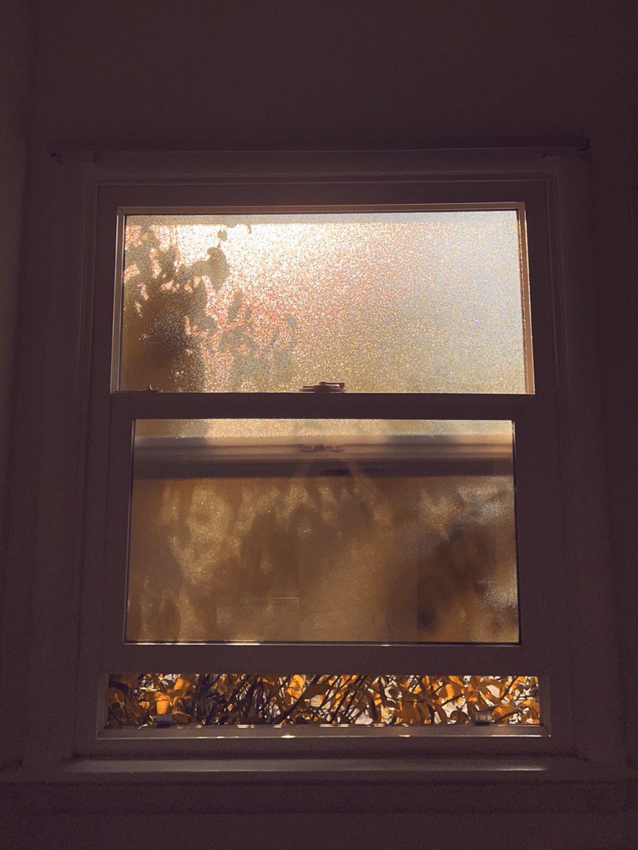 shellbyrayy's tweet photo. This window in my bathroom is my favorite thing ever. She’s so versatile 📸 https://t.co/LMa4DAjob8