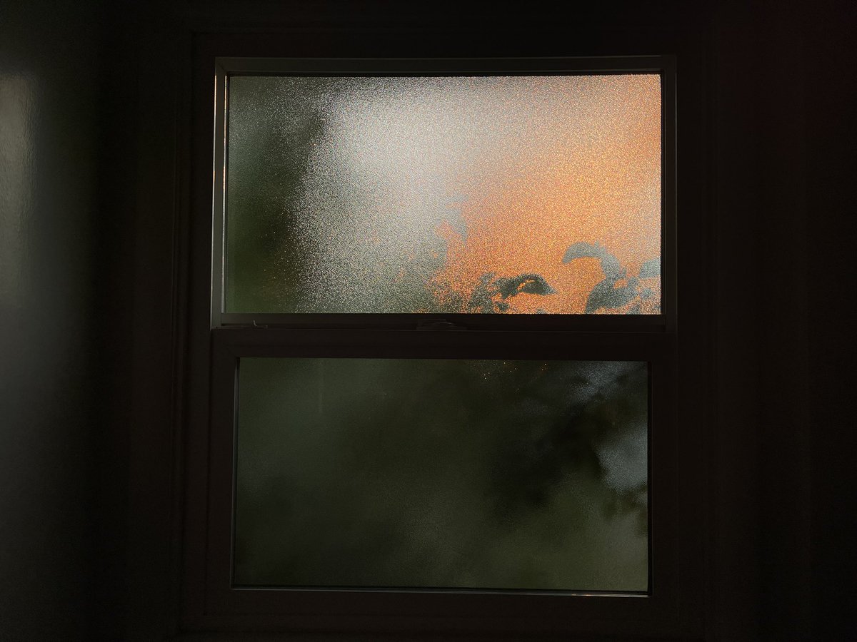 shellbyrayy's tweet photo. This window in my bathroom is my favorite thing ever. She’s so versatile 📸 https://t.co/LMa4DAjob8