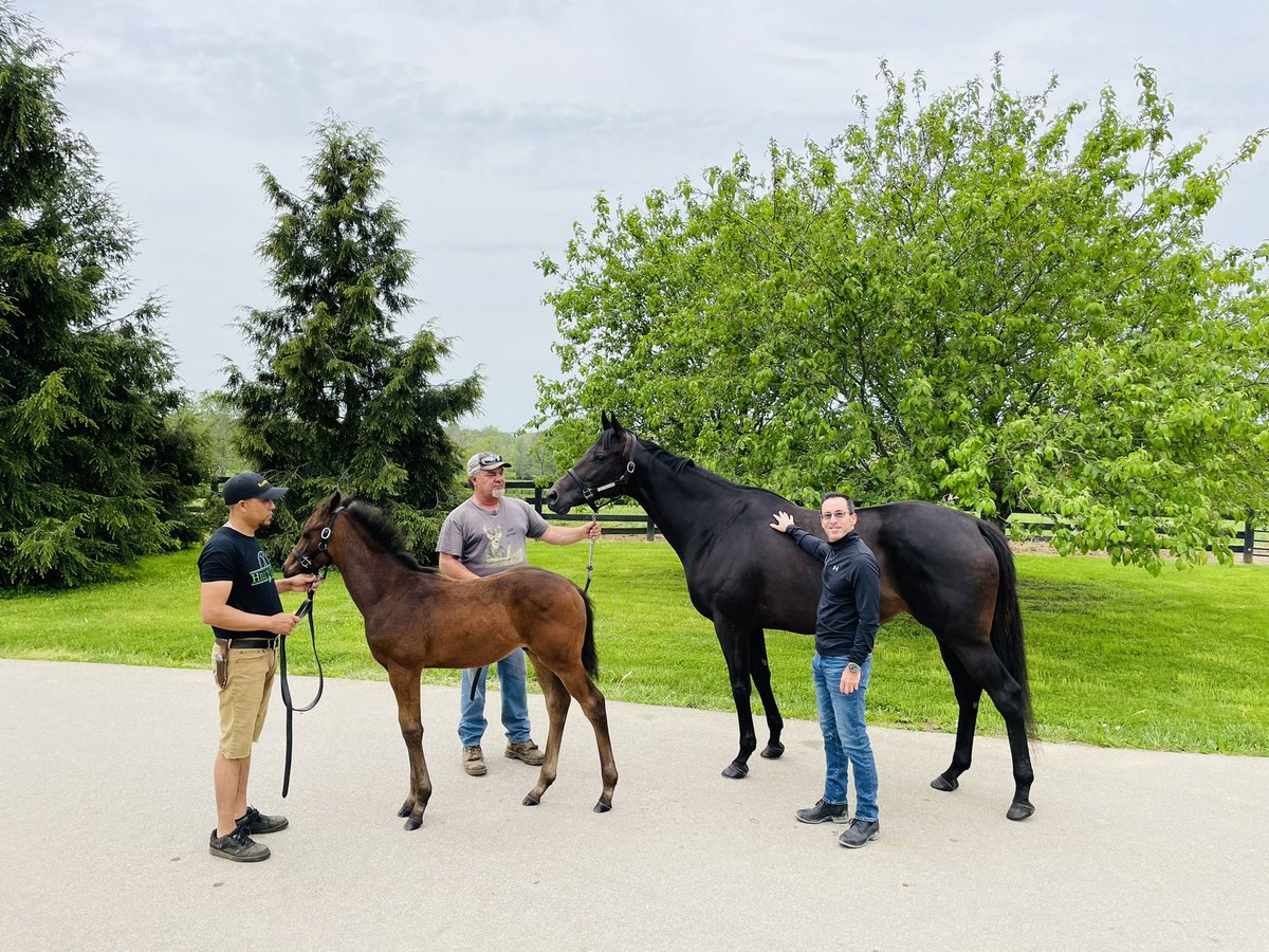 bloombloodstock's tweet photo. Had to  sneak in a visit during KY Derby week at the incomparable @HillnDaleFarm to see our champion Midnight Bisou and her Curlin colt #BabyBisou 💋 https://t.co/JzvSIAtl9W