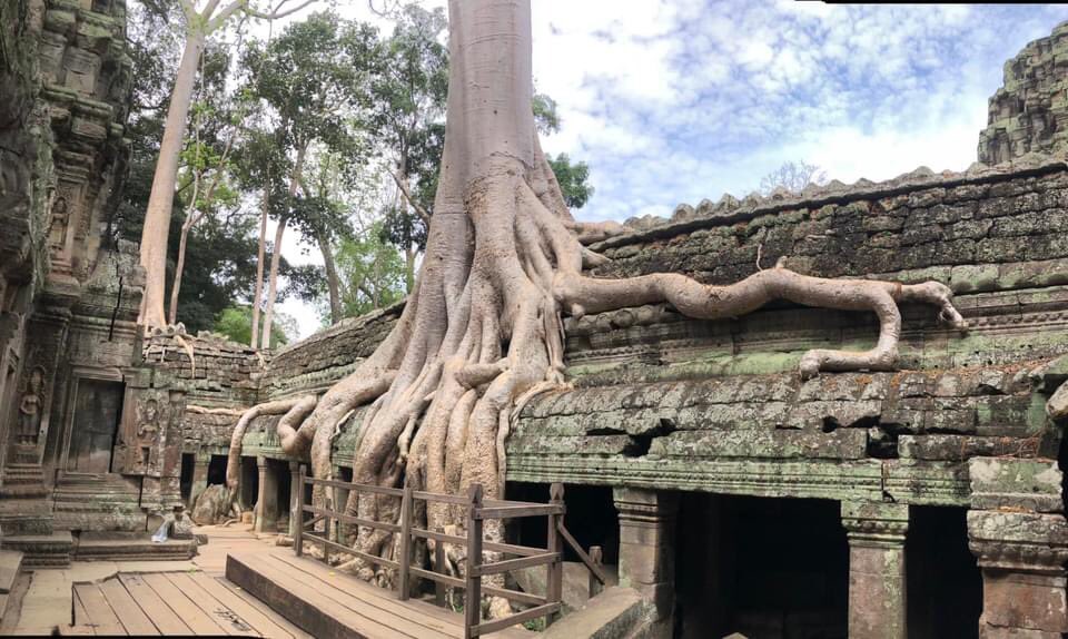 Bon_Guide's tweet photo. Temple of the forests #taprom #temple #HistoricalFiction #WorldHeritage https://t.co/V24R7kl6AR