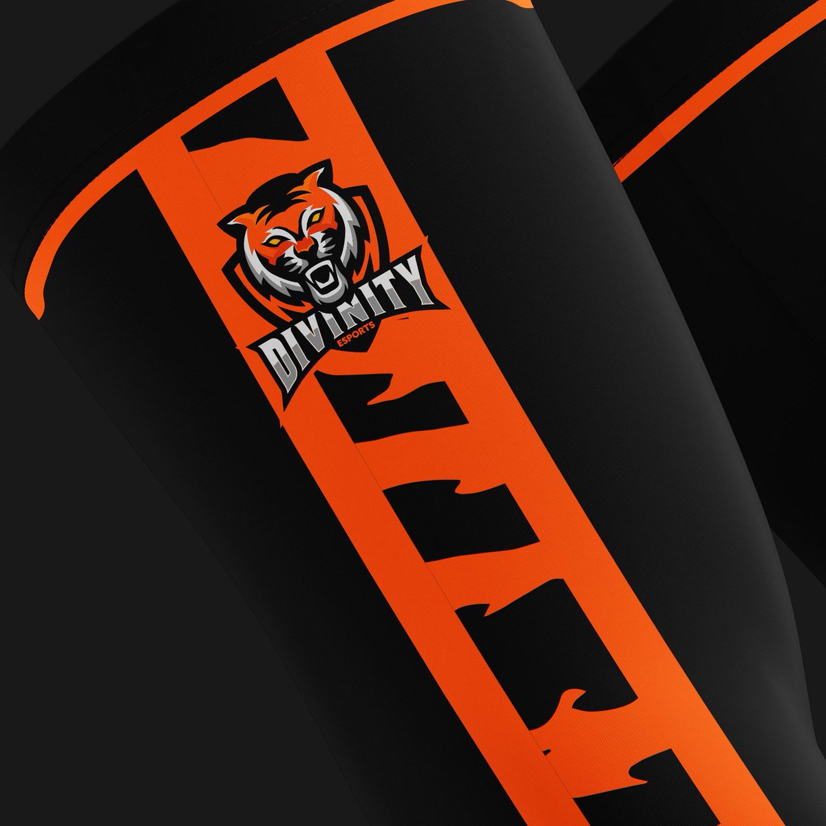 DiviniTY_Esp0rt's tweet photo. Coming soon 🤫 https://t.co/J5qvK6U0FQ